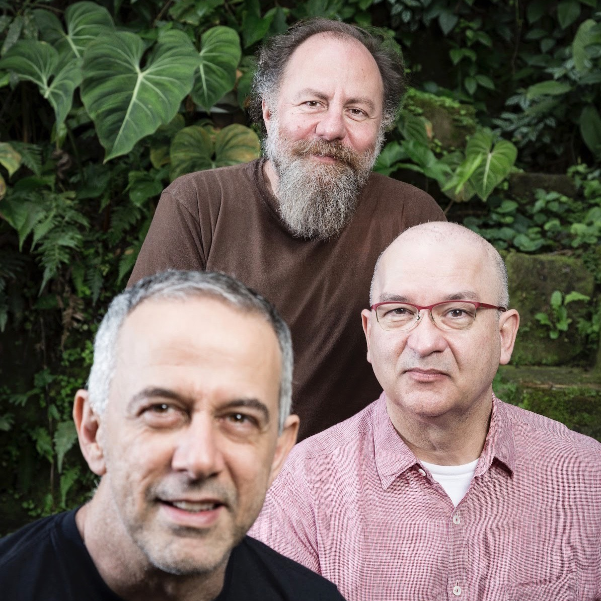 Os Paralamas do Sucesso